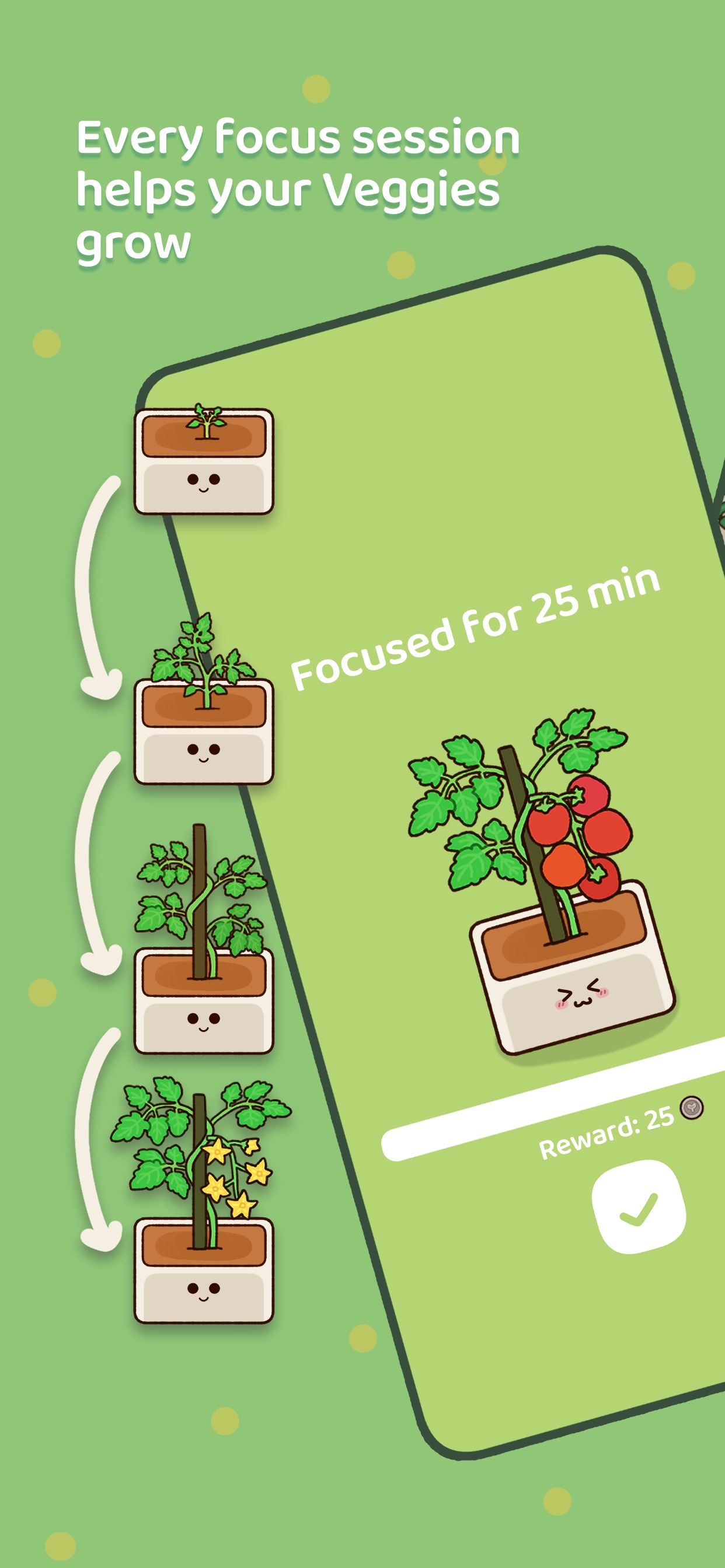 Veggie growth progression